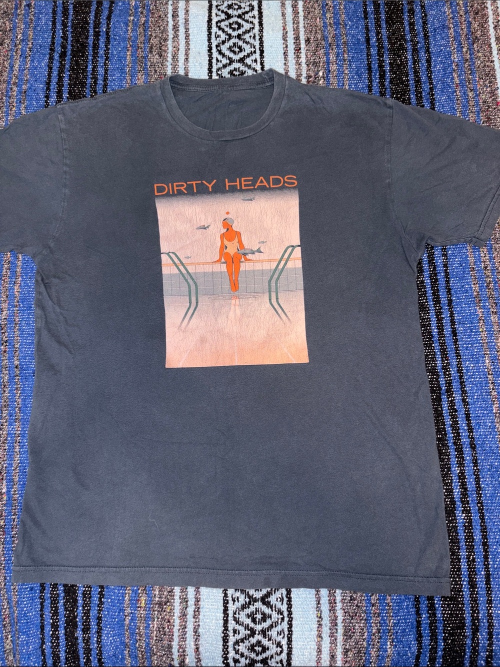 Dirty Heads Concert Tee Shirt